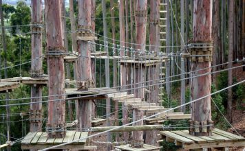 Arvorismo em Domingos Martins “Aventura nas Alturas”