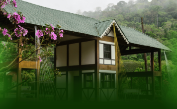 Publicidade no Site Domingos Martins